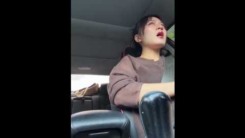 vivit_bibi