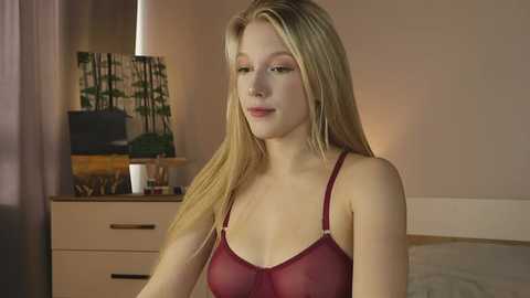 alicelebel