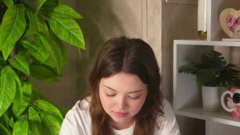 ellyroades