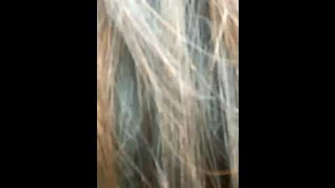 taotao_19
