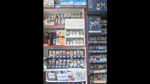 fluturas2