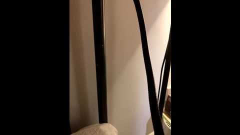 mia_winters