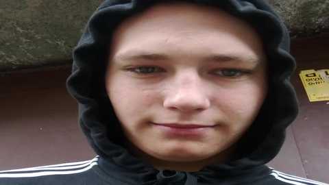 minivi