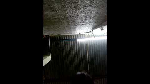 soni_megwal