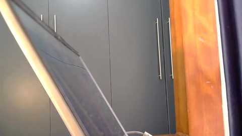 katt008