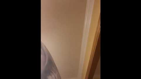 littlemisseeve