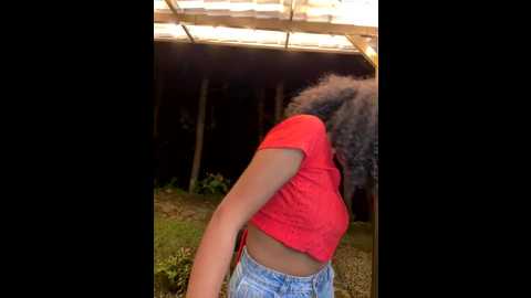 rose_andres