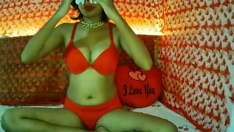 minu_cam