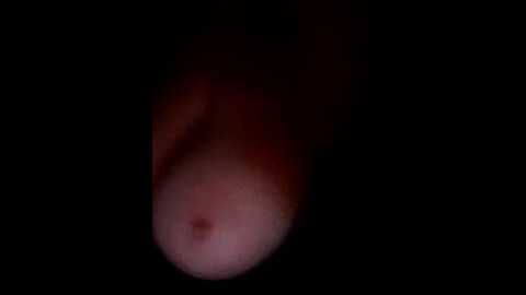 porcahot