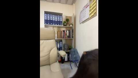 sara_fun