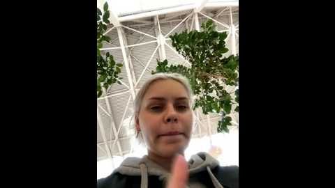 bellavimur