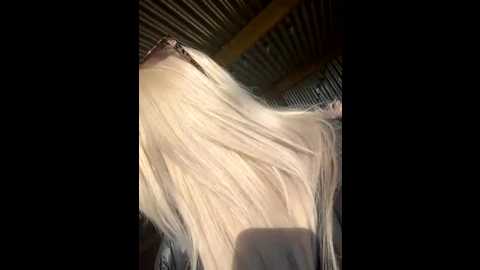 bustyblondebabe32