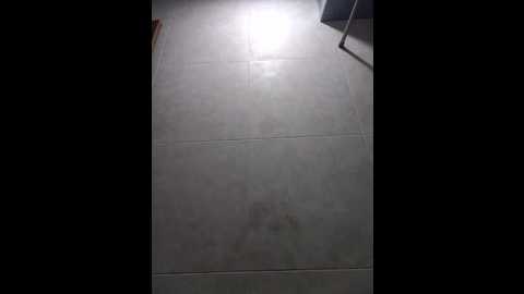 elsa_sweet