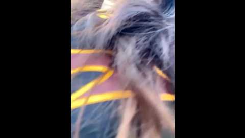liliya_77