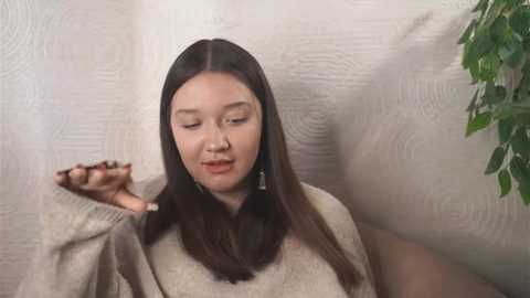 maymegrotz