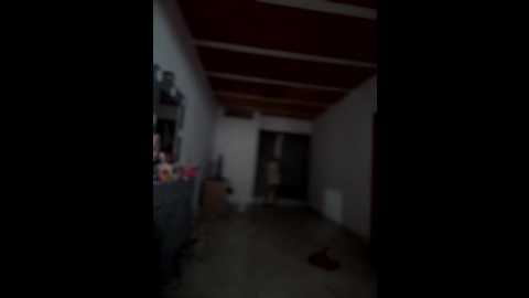 lalilamassu1