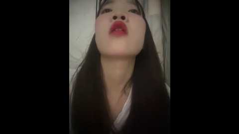 littleqiu