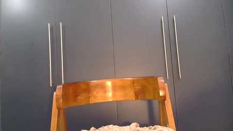 katt008