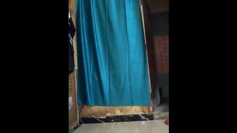 mansi01