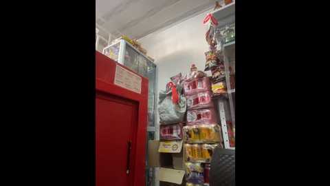 sara_fun