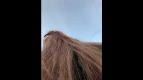 andreamood