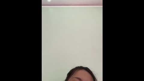 kamdan12