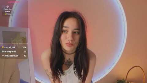lunel_kitten
