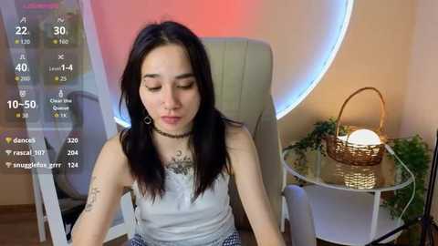 lunel_kitten