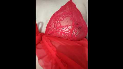 nice_touch9733