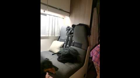 vanlifevixen