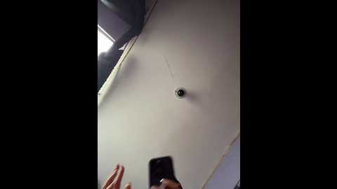 charlotte_stevenss_