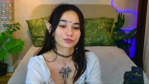 lunel_kitten