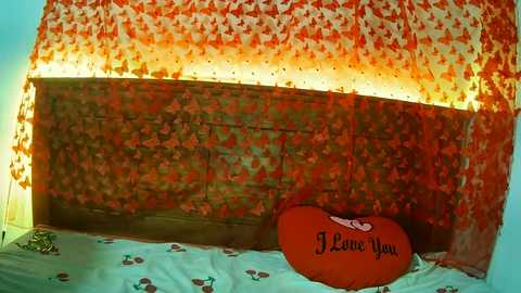 minu_cam