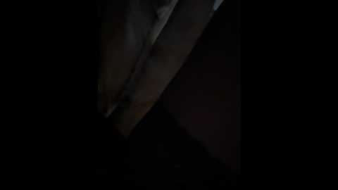 eveangelll