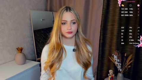 dorlaredig