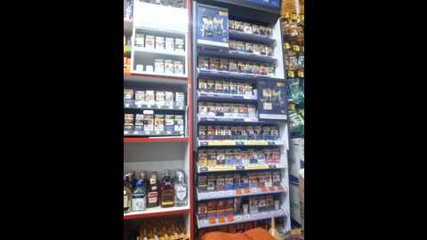 fluturas2