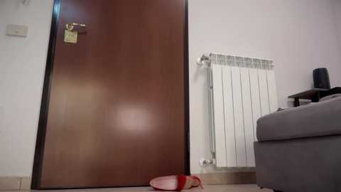 lunadisempre
