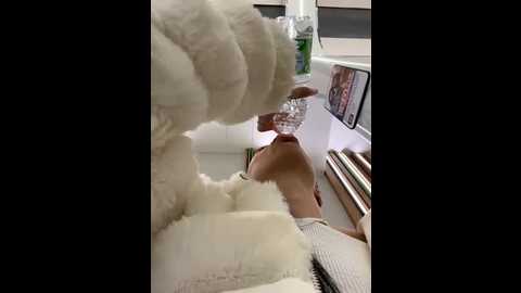 ilariea_girl