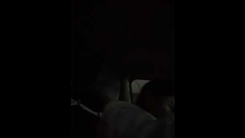 jiajia_l