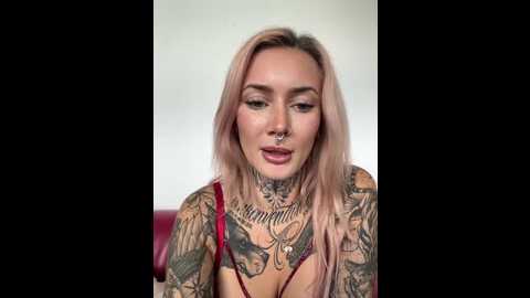 stella_kink