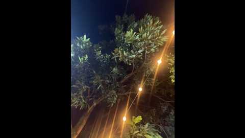 Media: aurora_coldd Stripchat 2025-10-09 00:48:00