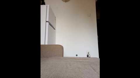 virggin_pussy_cum