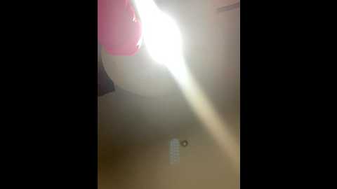 dasilva_elsa21