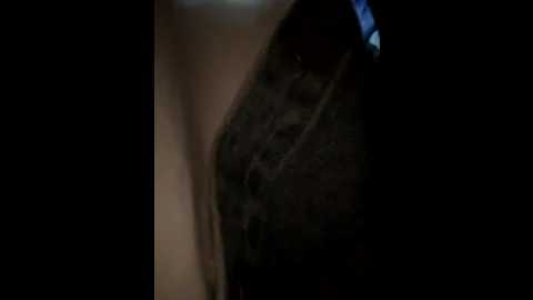 xiaoqiao_ss
