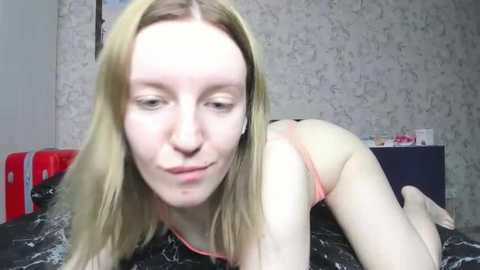 baiambel_mi