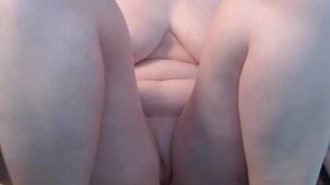 lisa_sack