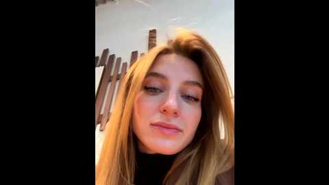 _angelari_