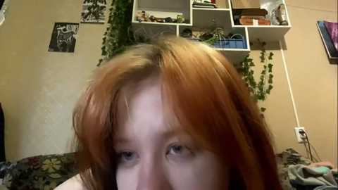 anitavanruiten