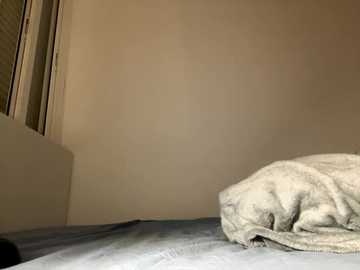 lisa_5329