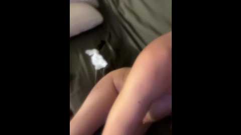 petit_papillonxx58000